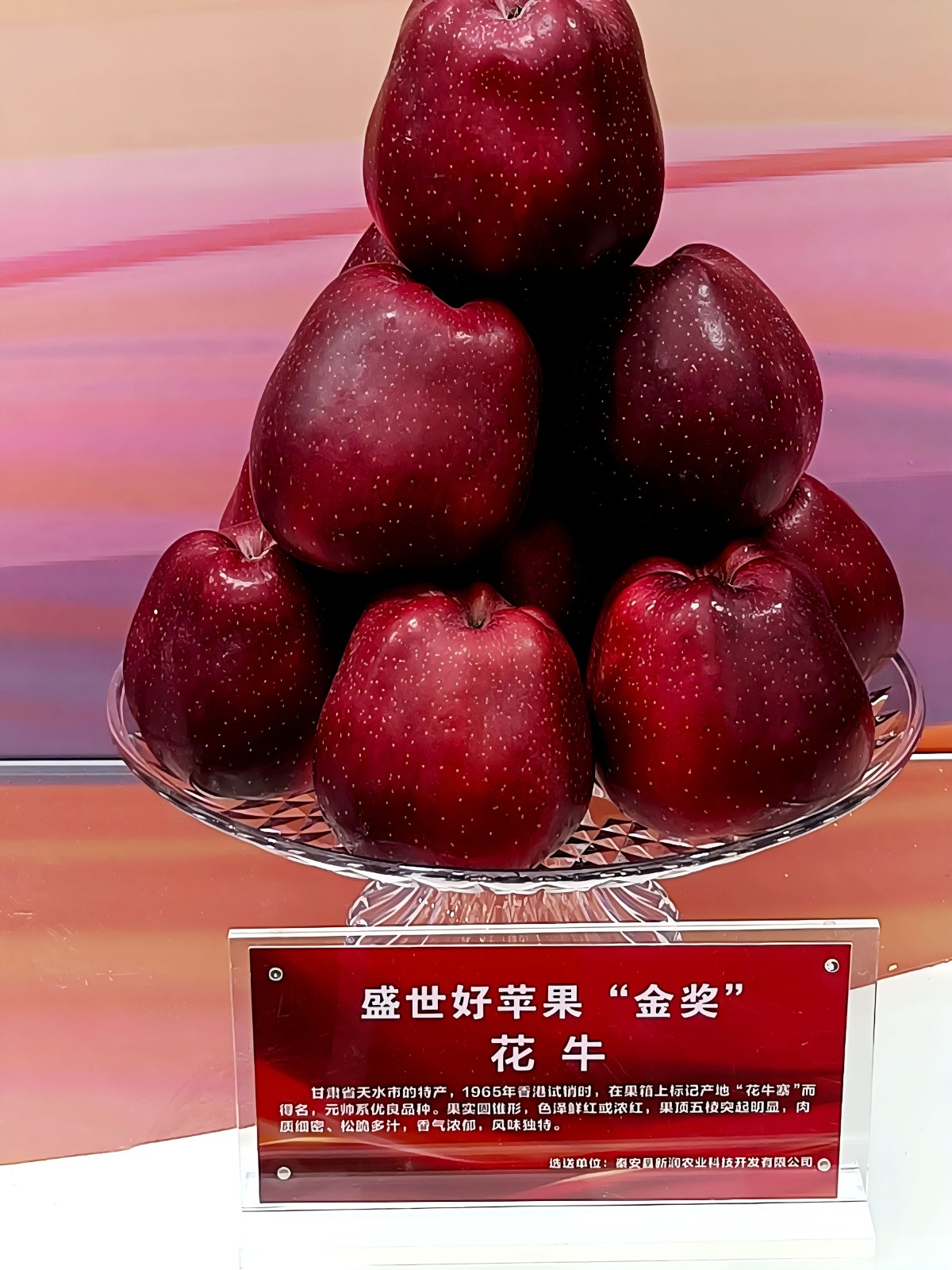 天水秦安花牛苹果喜获金奖_fororder_(1)b9df8b05d9be0258e61eef9be6919374