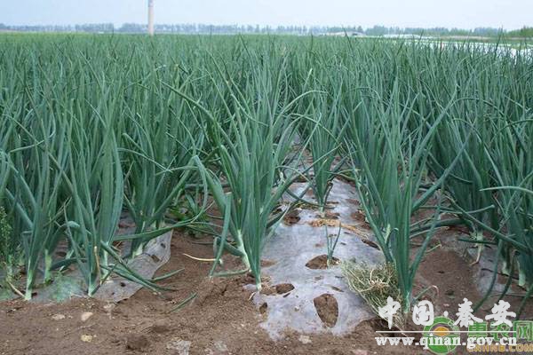 1600737179299039426.jpg 1600737179299039426.jpg