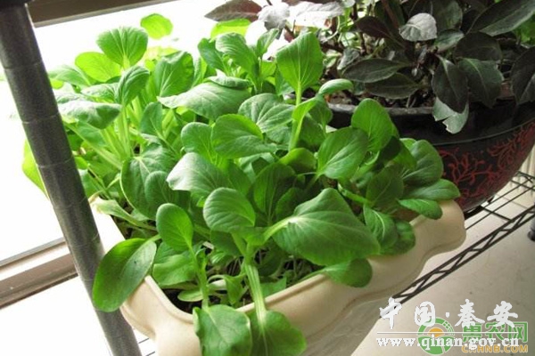 1600737278730069002.jpg 1600737278730069002.jpg