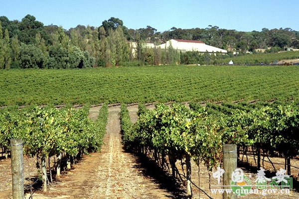 1611544311235044590.jpg 1611544311235044590.jpg