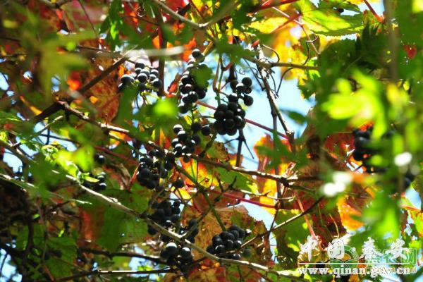 1611544232460095302.jpg 1611544232460095302.jpg