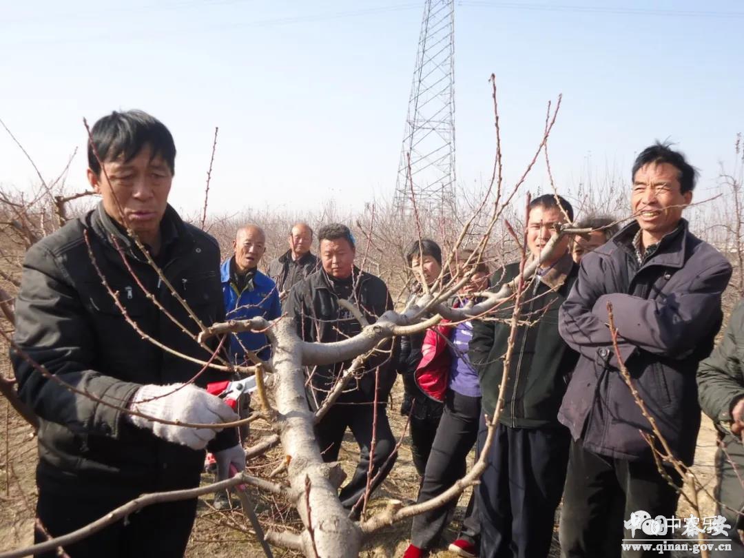 1608168743421090076.jpg 1608168743421090076.jpg