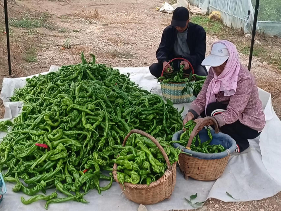 微信图片_20230926114506