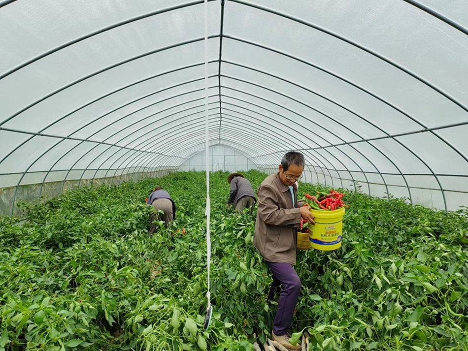 微信图片_20230926114620