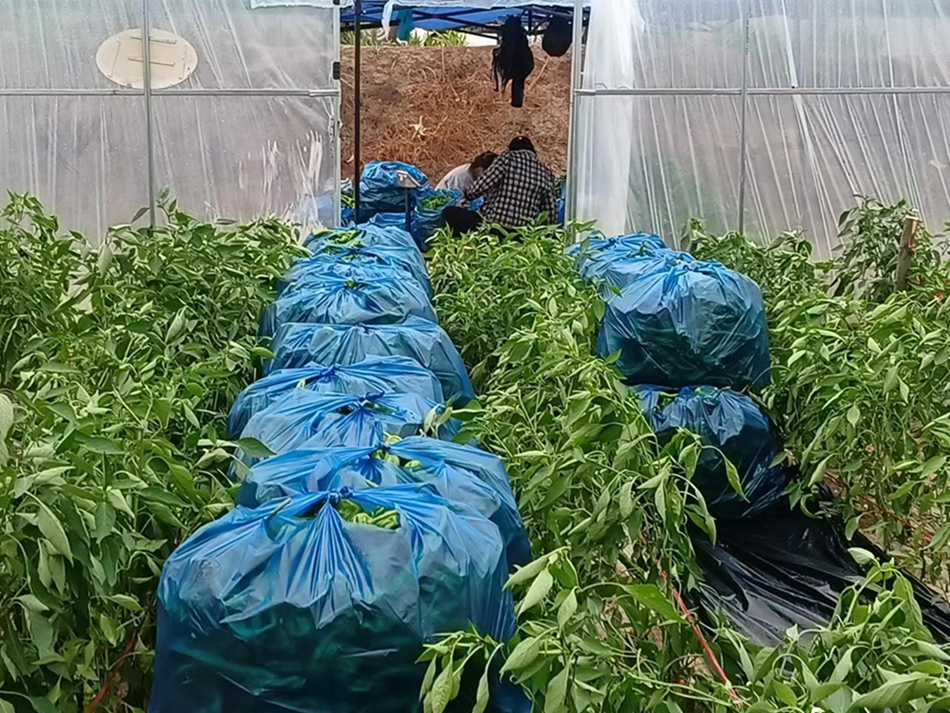 微信图片_20230926114432