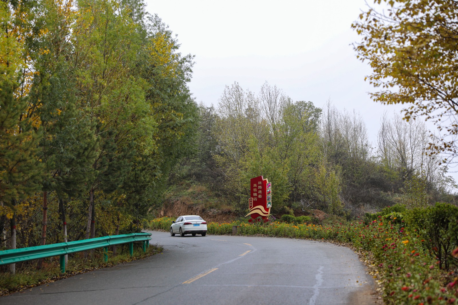 天水市秦安县魏店镇:乡村公路秋景如画_fororder_(1)20251022-8U6A3065