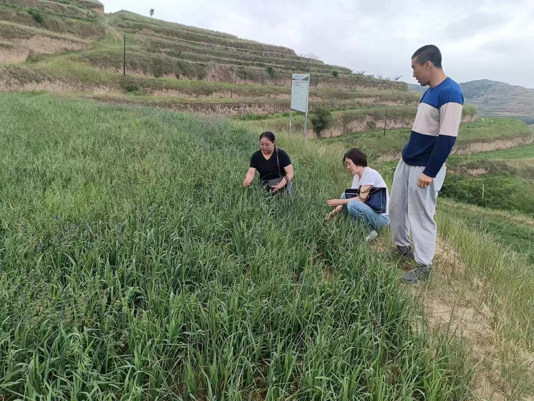 c6950f4bd023756878c5c67b57fd151