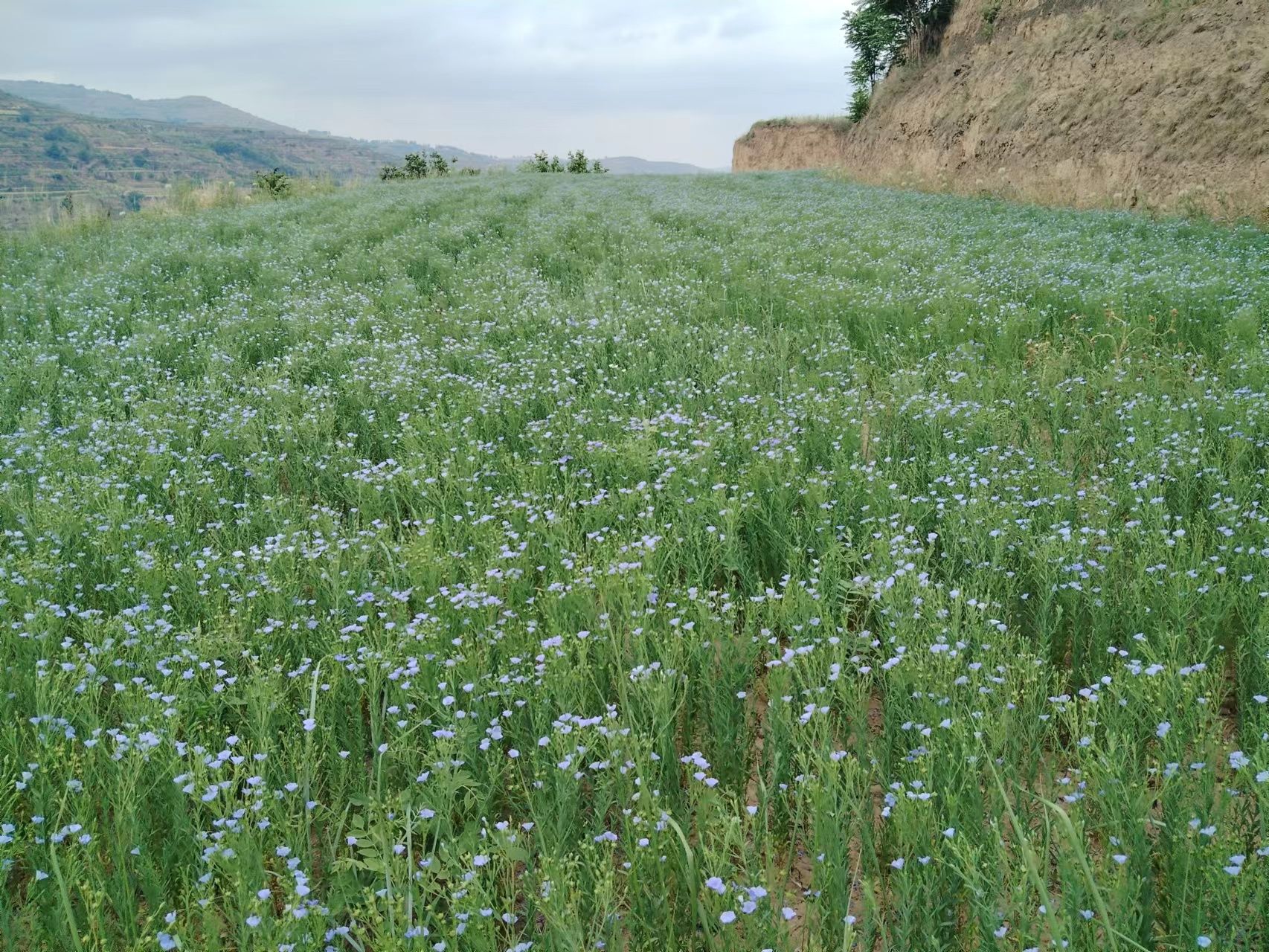 微信图片_20230627144246