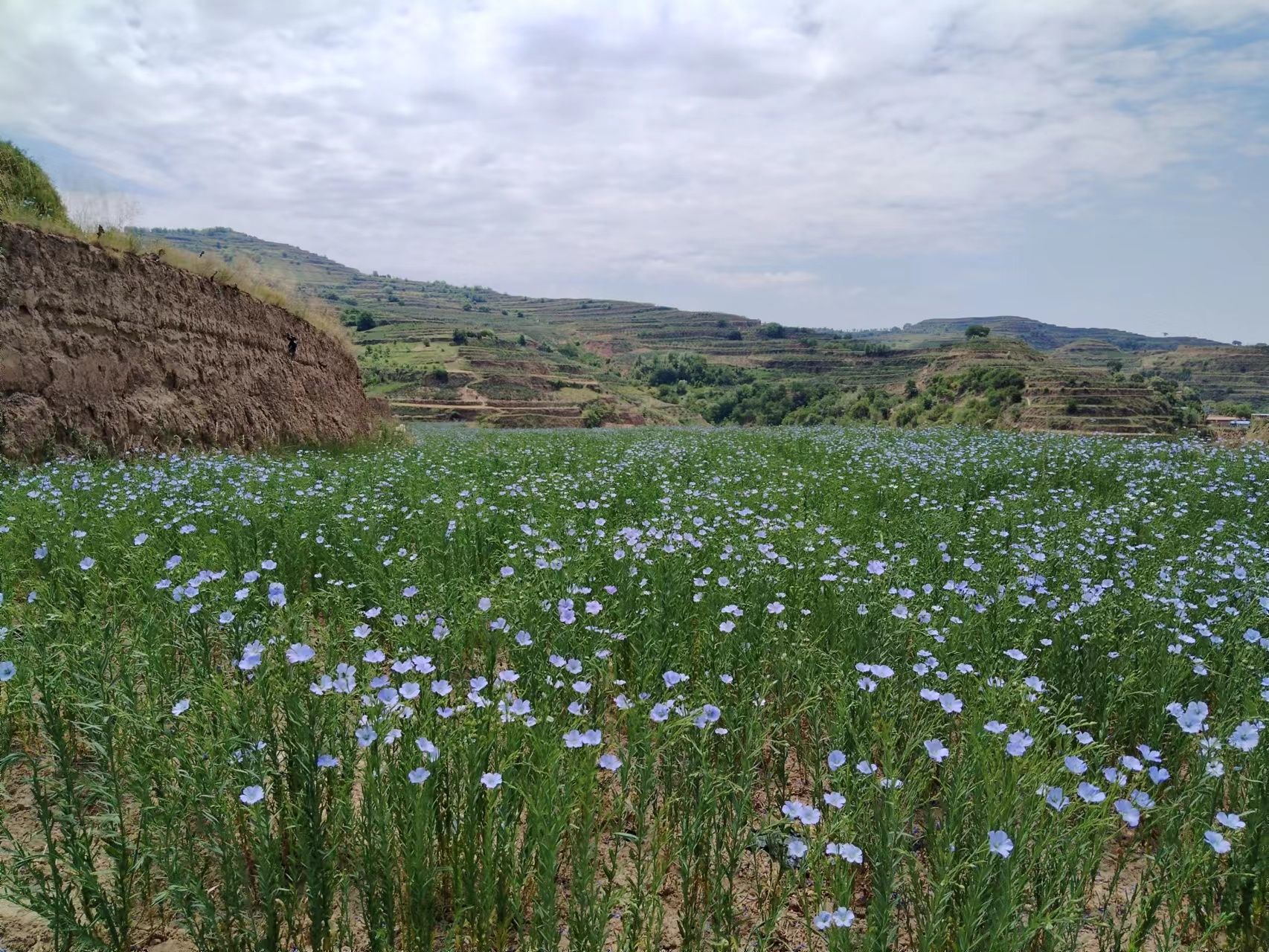 微信图片_20230626102705