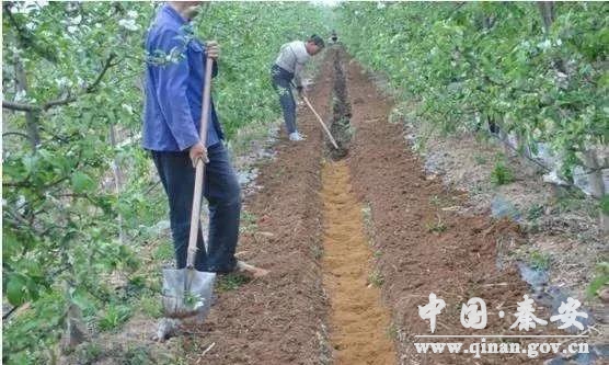 1609897173952023411.jpg 1609897173952023411.jpg