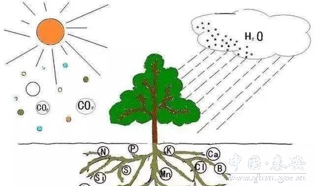 1609897093586077590.jpg 1609897093586077590.jpg