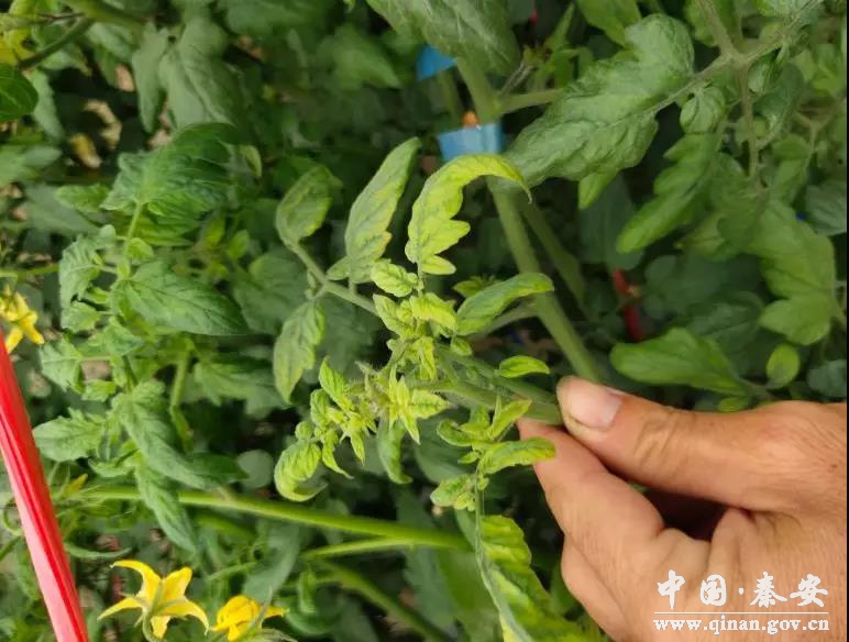 1609897117603046577.jpg 1609897117603046577.jpg