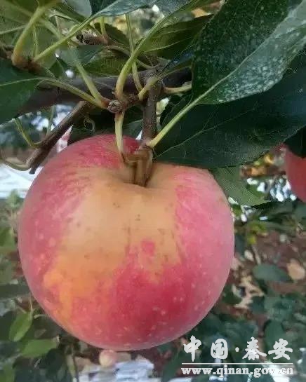 1609897154780001920.jpg 1609897154780001920.jpg