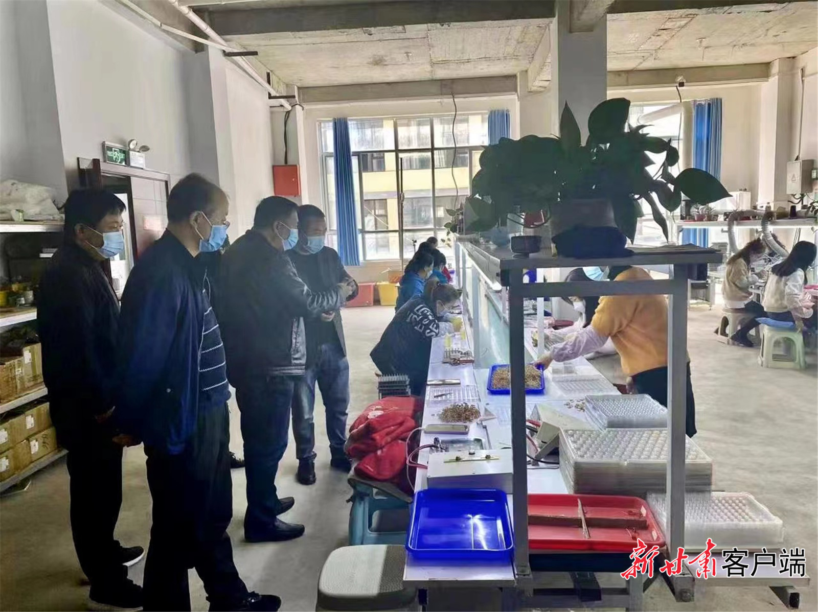 微信图片_20230216124435 微信图片_20230216124435.jpg