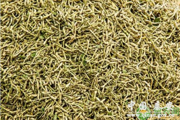 养殖课堂:养鸡户常用的七种中药材 养殖课堂:养鸡户常用的七种中药材