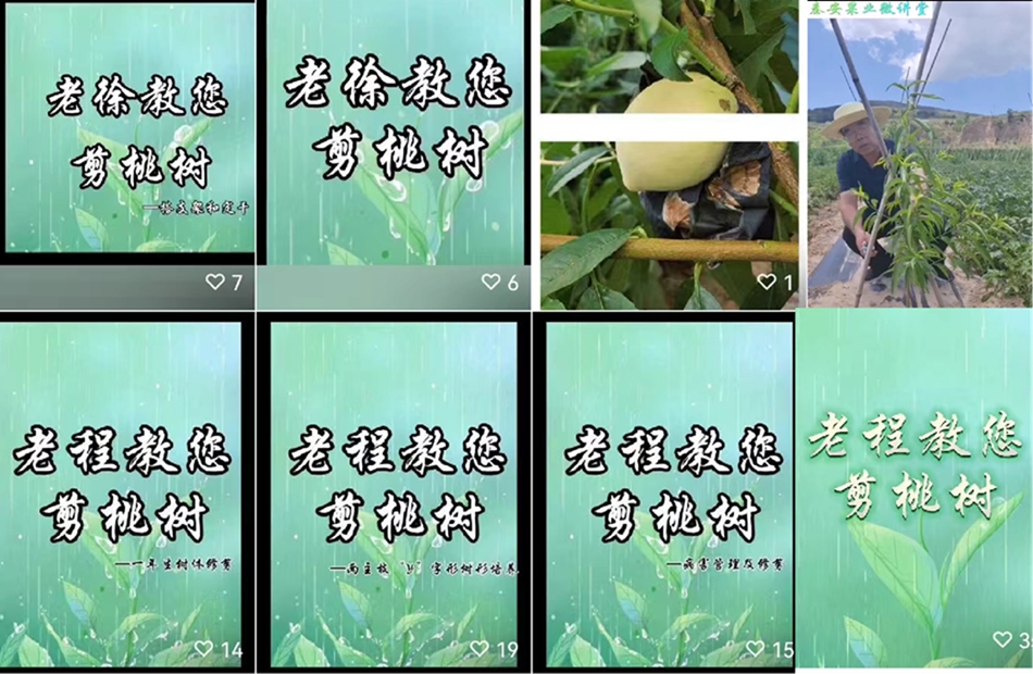 1691574781225097252.png 图片1.png