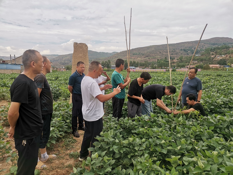 1691574335557081765.jpg e4d7586f78287e77edc5949f346eb20.jpg