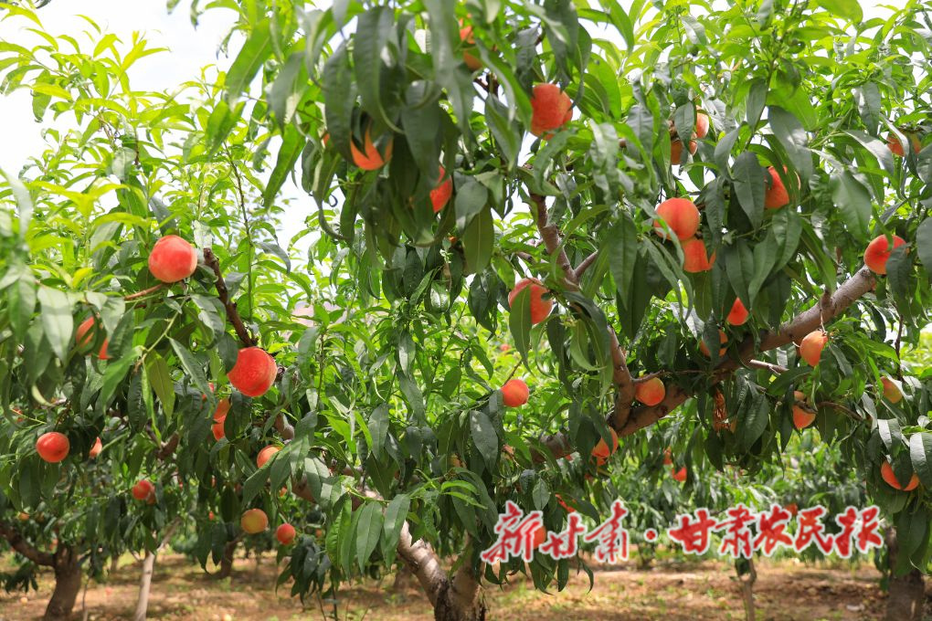 微信图片_20220714090250