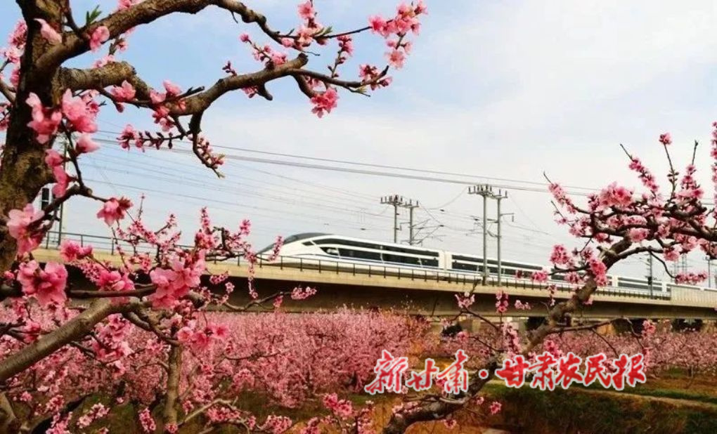 微信图片_20220714090359