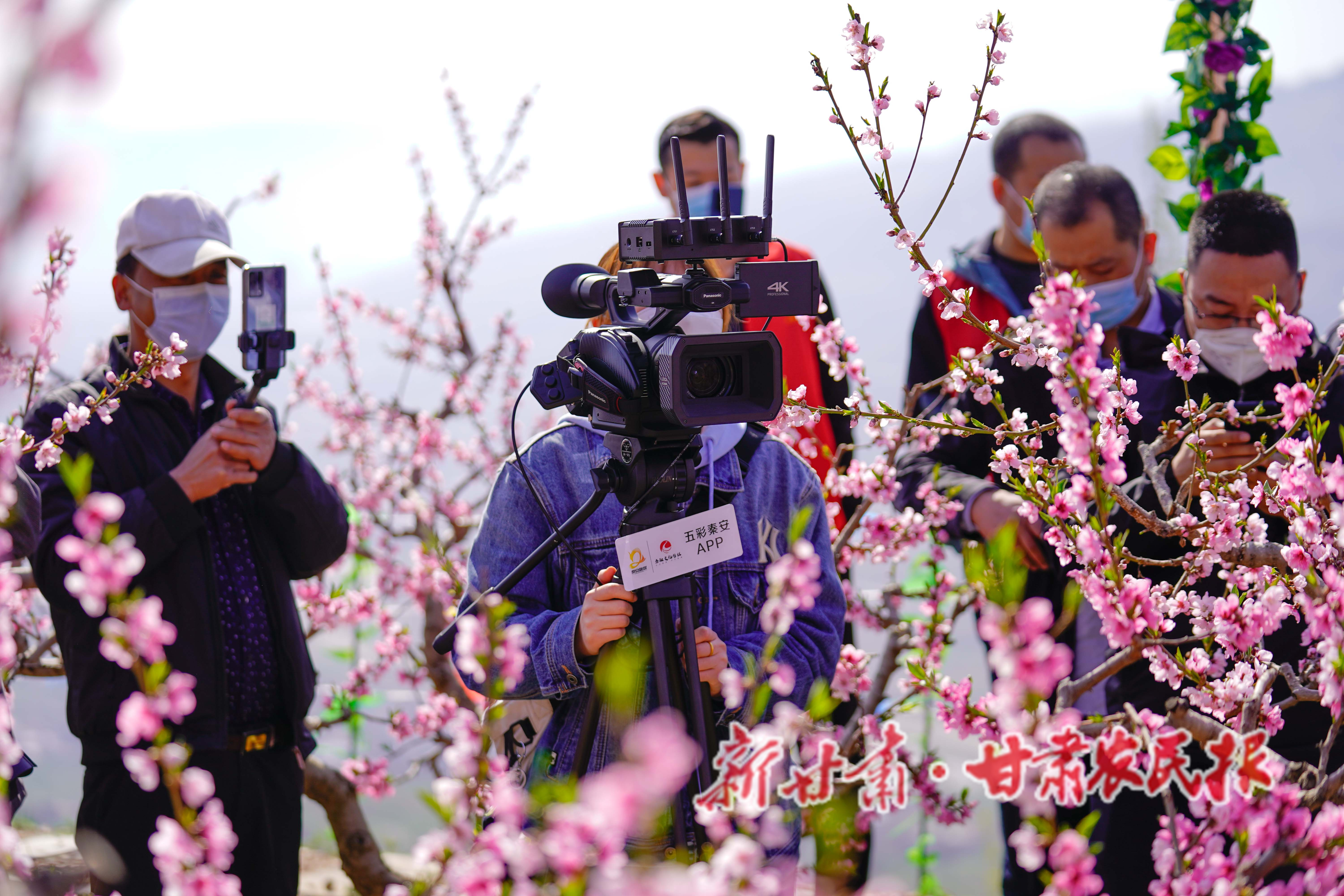 微信图片_20220714090337