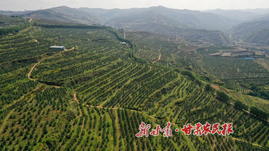 微信图片_20220714090241