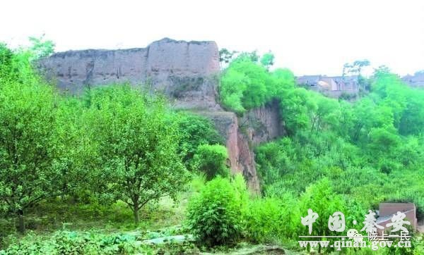 1576902224878046611.jpeg 1576902224878046611.jpeg