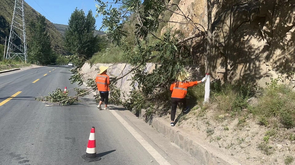 280aa55c3bae5fa3a2d1a7a2ae9e68e