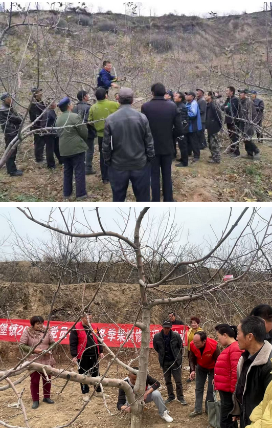 450f6bdabb88929c92cd2bd40541d80b.png 450f6bdabb88929c92cd2bd40541d80b.png