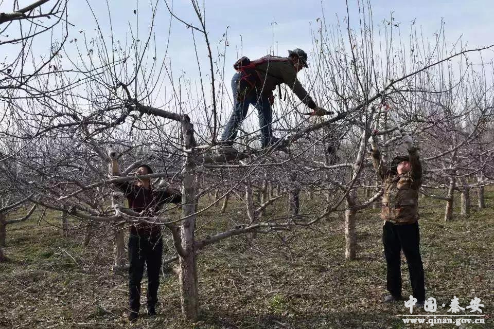 1608026681404010501.jpg 1608026681404010501.jpg