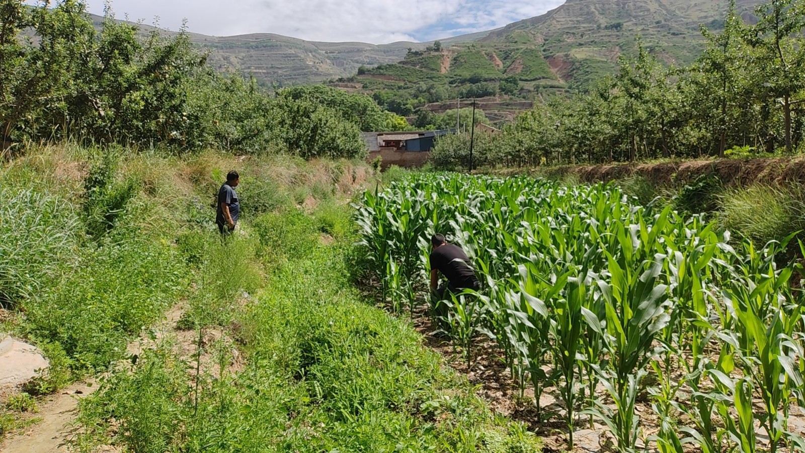 微信图片_20230710114005